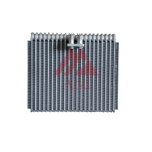 NÚCLEO EVAPORADOR OMEGA 1998>2007 ASTRALIANO