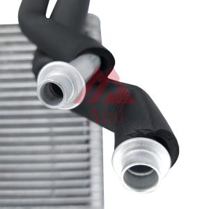 NÚCLEO EVAPORADOR FIESTA MEXICO 2010>